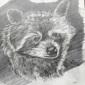 Судьба в глазах...