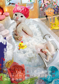 Календарь «Год кота»