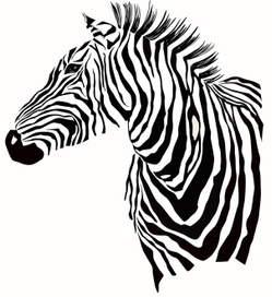 Зебра