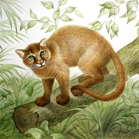 Анна Ивановна