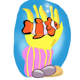 Рыба - клоун и актиния