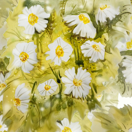 ромашковый ветерок