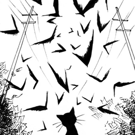 A day in the life of a cat