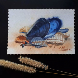 Открытка из серии "Дары моря"