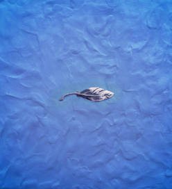 Обложка, задник