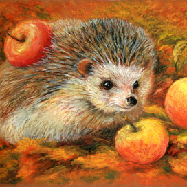 Ёжик и яблоки