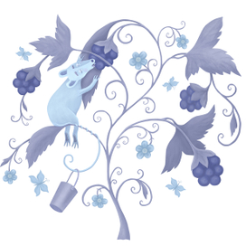 Ежевика поспела