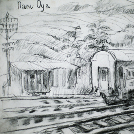 Отчаянные путешественники в Шри-Ланке