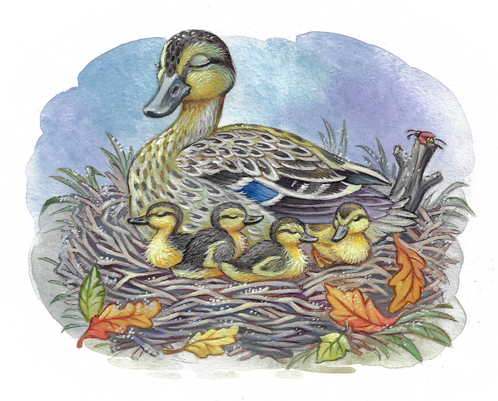 осеняя иллюстрация.