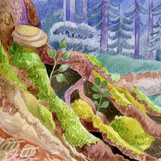 Иллюстрация к сказке о Волшебном лесе