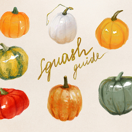 guide to pumpkins