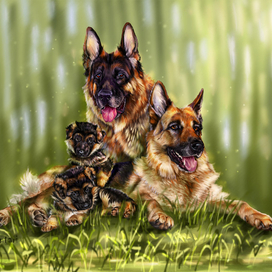 Травяные собачки