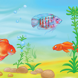 рыбки