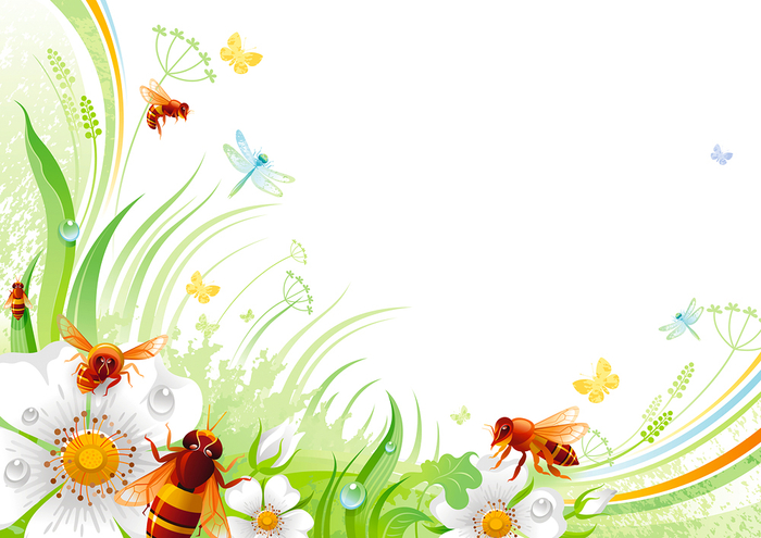 Пчелы и шиповник