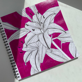 Lily