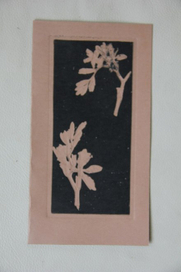 пригласительный