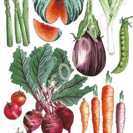 Vegetables