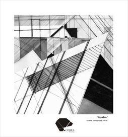 Работы рапидографом