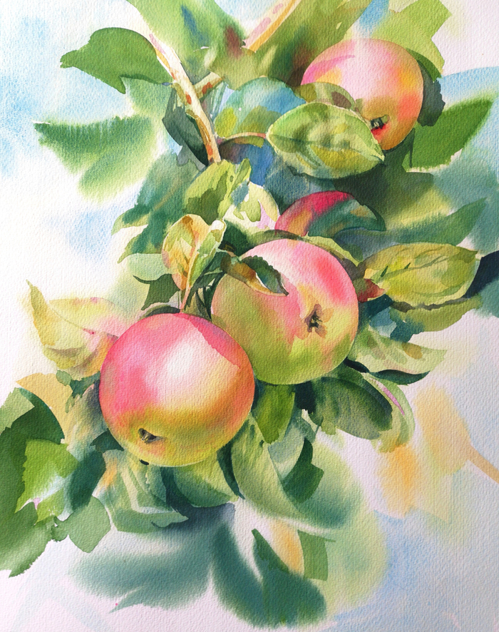 "Яблоки нашего сада"