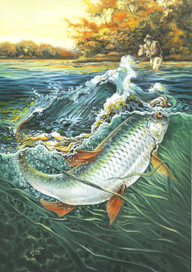 Отличный боец .