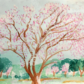 Цветущее миндальное дерево