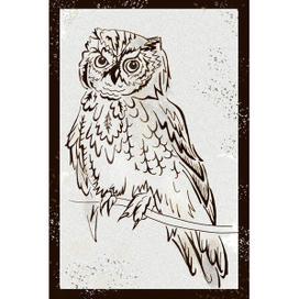 Портрет совы