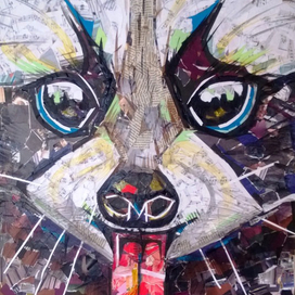 Крошка-енот