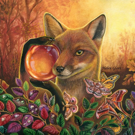 Лис и янтарь