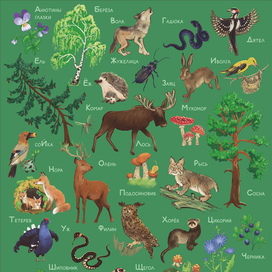 Лесная азбука