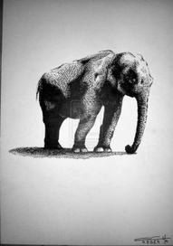 Слон флегматик