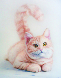 кот Мыколка