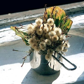 Весна на Васильевском острове