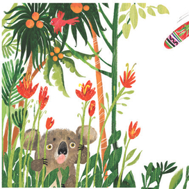 Коала. Бумеранг.