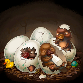 Утконосики