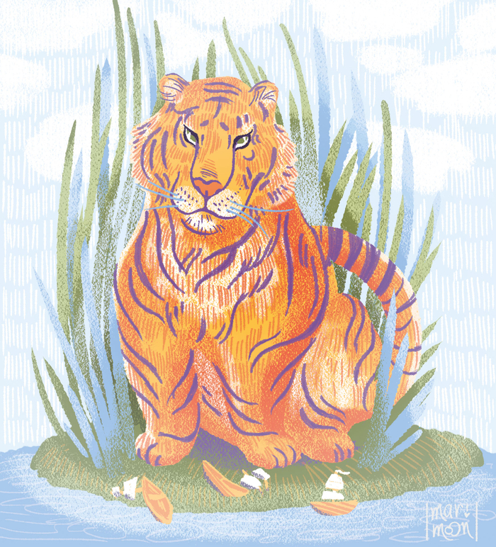 Тигриный остров