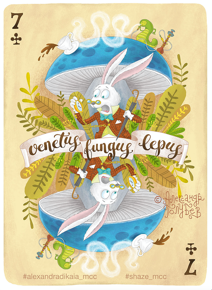 Venetus Fungus Lepus