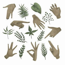 Руки + Растения