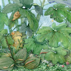 дождливое лето