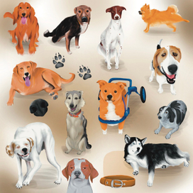 Истинные собаки