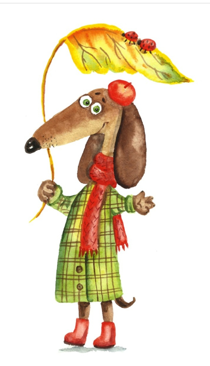 Такса на прогулке