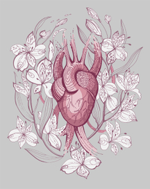 Сердце в альстромериях