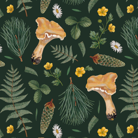 Лесные сокровища. Набор иллюстраций и паттернов