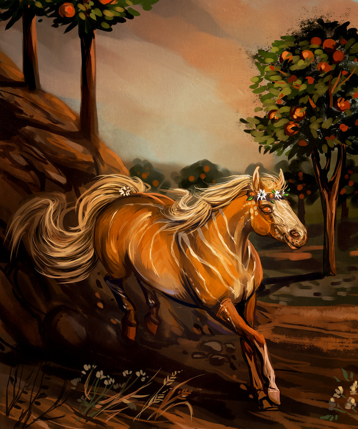 Апельсиновый сад