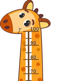 жираф-ростомер