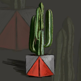 Кактус