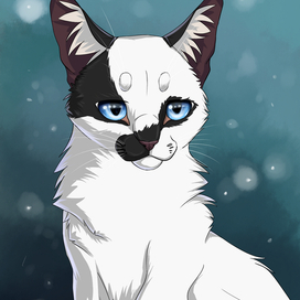 Зимняя кошка