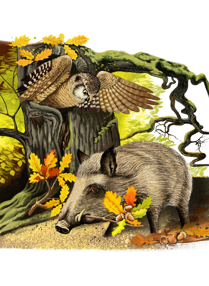 Ирина Гурина "Удивительная история"