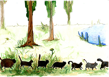 Голодные коты