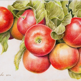 Ах эти странные яблоки =)