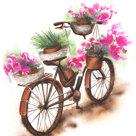 Велосипед с цветами